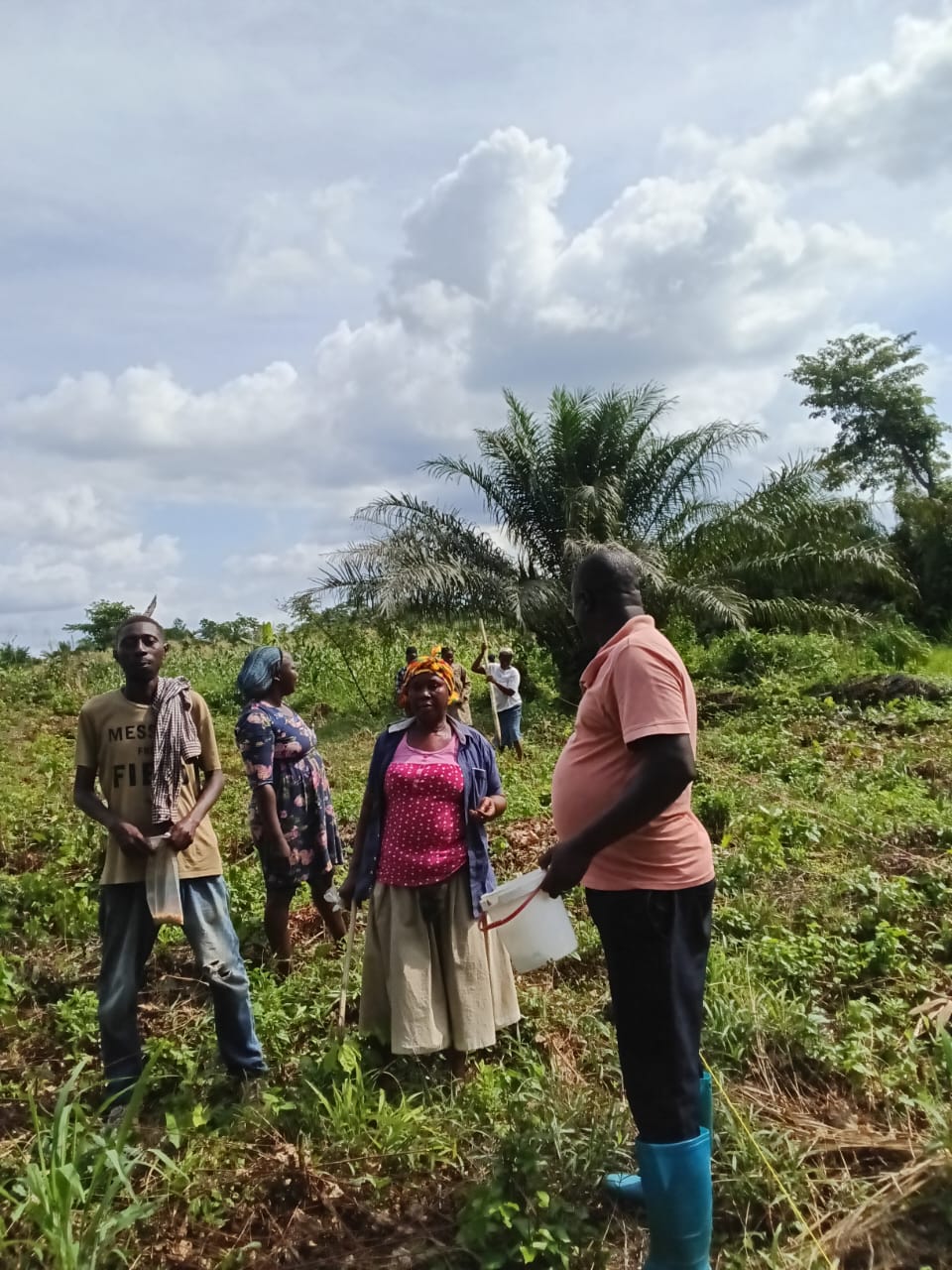 Tree Planting