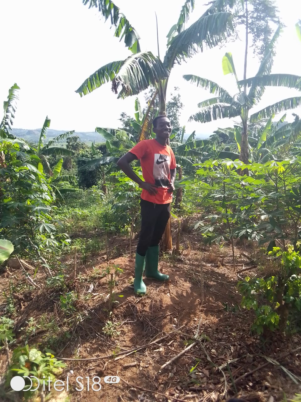 Tree Planting