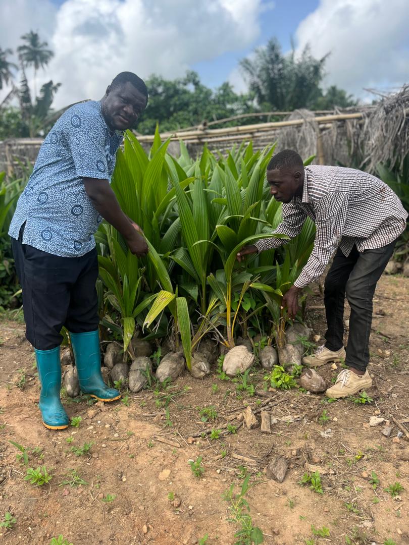 Tree Planting