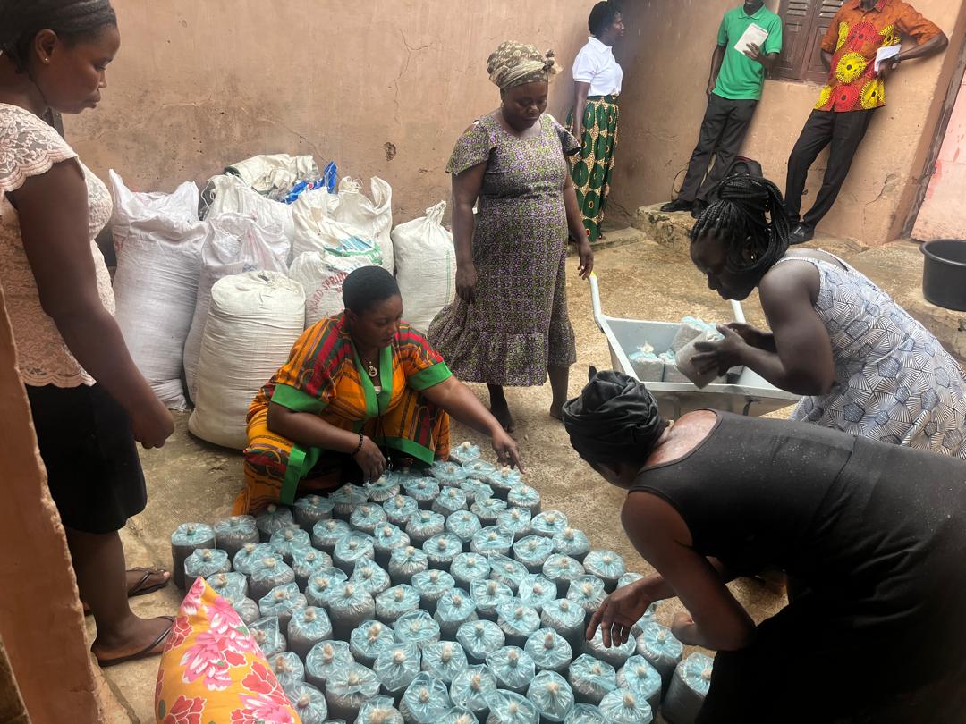 Mushroom Cultivation